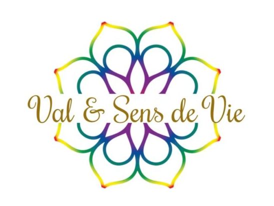 new logo valetsensdevie